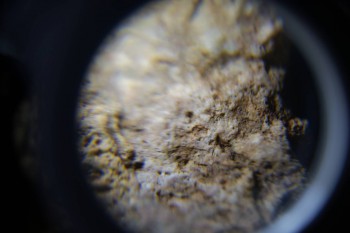 2017-02-23 10-03-44.JPG