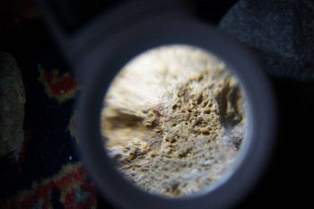 2017-02-23 10-03-34.JPG