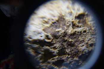 2017-02-23 10-02-58.JPG