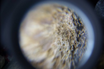 2017-02-23 10-02-08.JPG