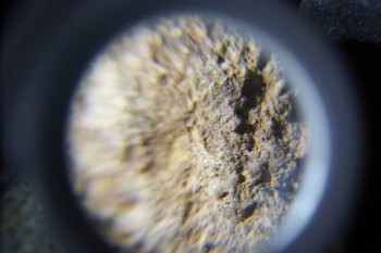 2017-02-23 10-01-58.JPG