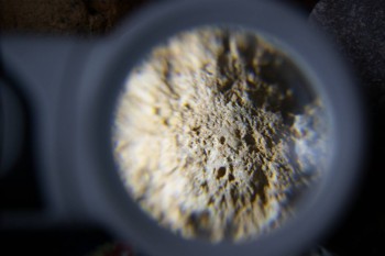 2017-02-23 10-01-46.JPG