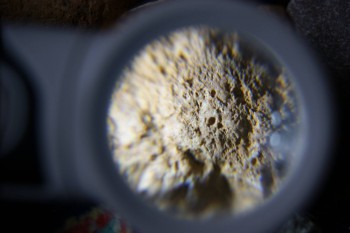 2017-02-23 10-01-42.JPG