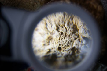 2017-02-23 10-01-32.JPG