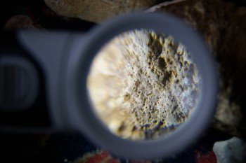 2017-02-23 10-01-20.JPG