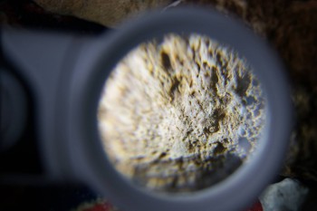 2017-02-23 10-01-04.JPG