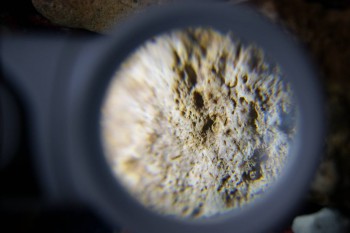 2017-02-23 10-01-02.JPG