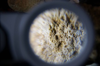 2017-02-23 10-00-58.JPG