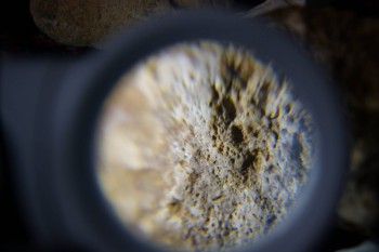 2017-02-23 10-00-52.JPG