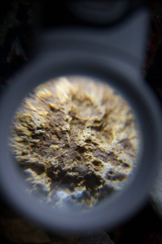 2017-02-23 10-00-12.JPG