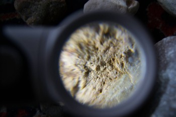 2017-02-23 09-59-38.JPG