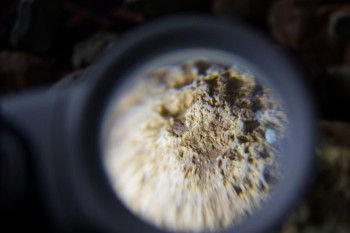 2017-02-23 09-59-04.JPG