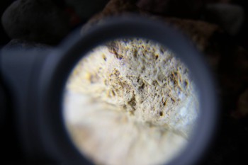 2017-02-23 09-58-50.JPG