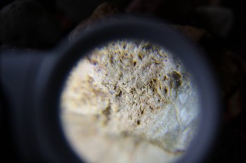 2017-02-23 09-58-46.JPG