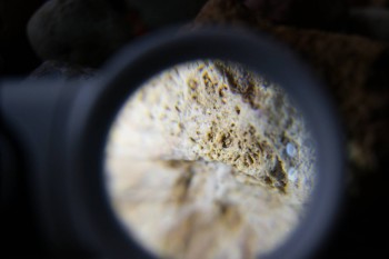 2017-02-23 09-58-36.JPG