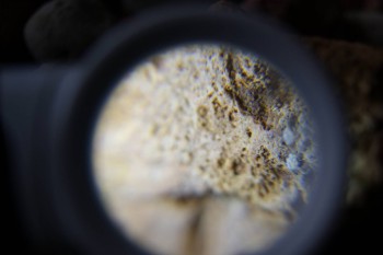 2017-02-23 09-58-30.JPG