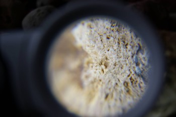 2017-02-23 09-58-26.JPG