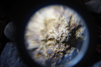 2017-02-23 09-58-04.JPG