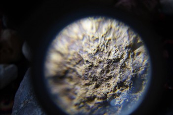 2017-02-23 09-57-54.JPG