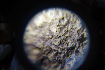 2017-02-23 09-57-46.JPG