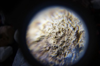 2017-02-23 09-57-40.JPG