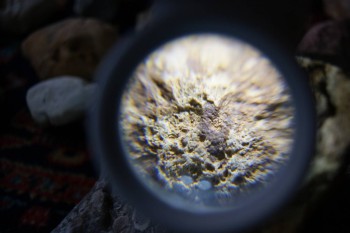 2017-02-23 09-56-54.JPG