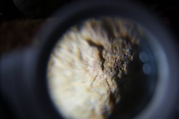 2017-02-23 09-56-20.JPG