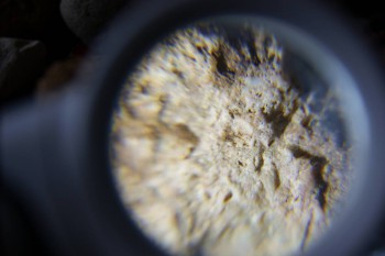 2017-02-23 09-56-12.JPG