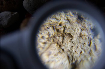 2017-02-23 09-55-58.JPG