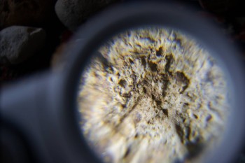 2017-02-23 09-55-52.JPG