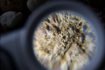 2017-02-23 09-55-42.JPG