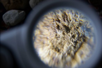 2017-02-23 09-55-36.JPG