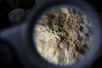 2017-02-23 09-55-28.JPG