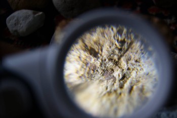 2017-02-23 09-55-20.JPG