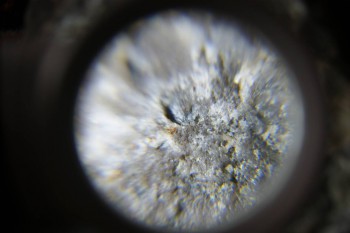 2017-02-23 09-54-12.JPG