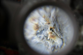 2017-02-23 09-53-38.JPG