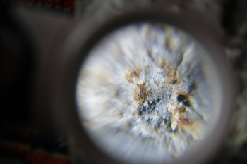 2017-02-23 09-53-34.JPG