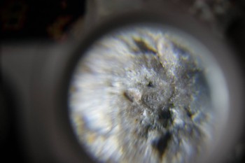 2017-02-23 09-53-20.JPG