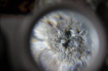 2017-02-23 09-53-10.JPG