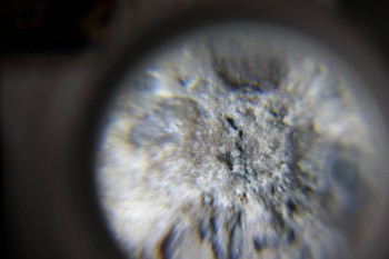 2017-02-23 09-52-54.JPG