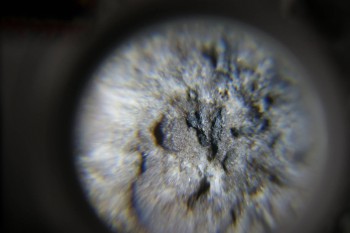 2017-02-23 09-52-44.JPG