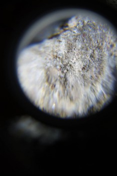 2017-02-23 09-51-46.JPG