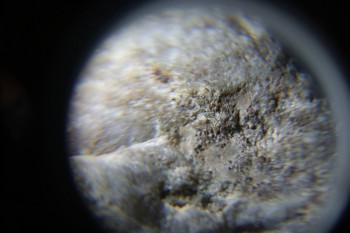 2017-02-23 09-51-10.JPG