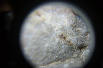 2017-02-23 09-50-20.JPG