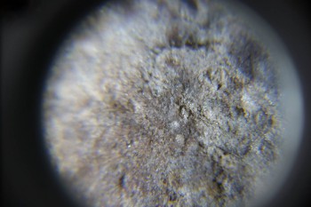 2017-02-23 09-48-38.JPG