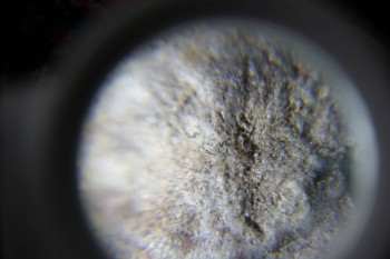 2017-02-23 09-48-24.JPG