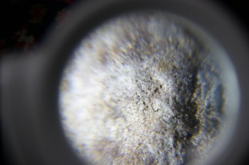 2017-02-23 09-48-06.JPG