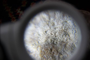 2017-02-23 09-47-58.JPG