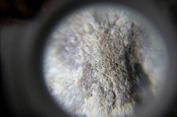 2017-02-23 09-47-28.JPG