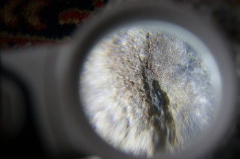 2017-02-23 09-47-18.JPG